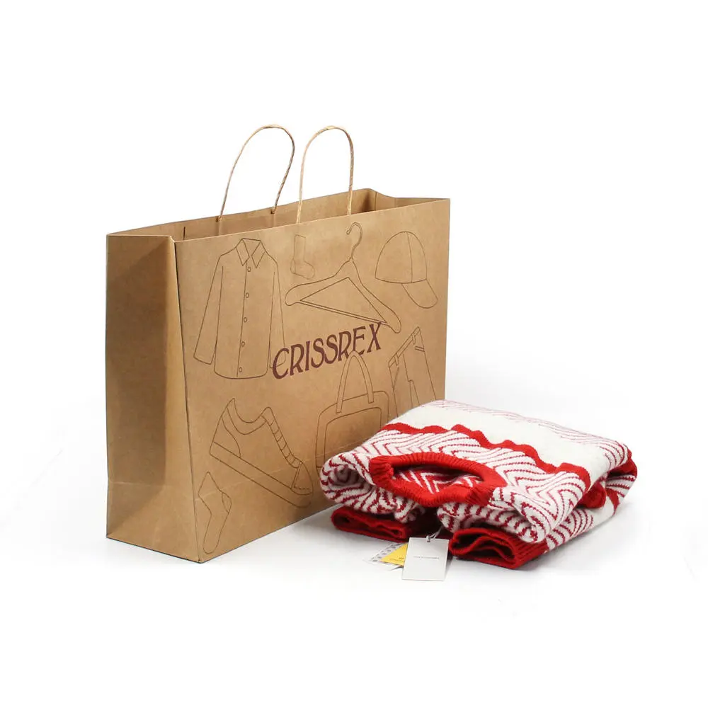 Plain Brown Kraft Paper Bag with Twisted String Handle (2)13j